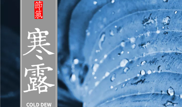 必发365(中国)兴趣网投天天必发